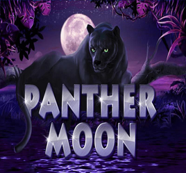 Panther Moon