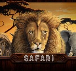 Safari