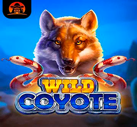 Wilde Coyote