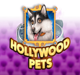 Hollywood Huisdieren